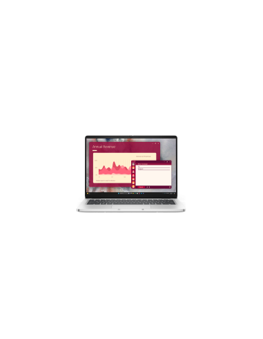 Dell Pro 14 (PC14250)